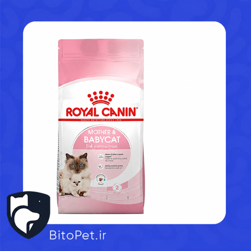 غذای خشک بچه گربه رویال کنین مادراندبیبی (RoyalCanin Mother & Baby )