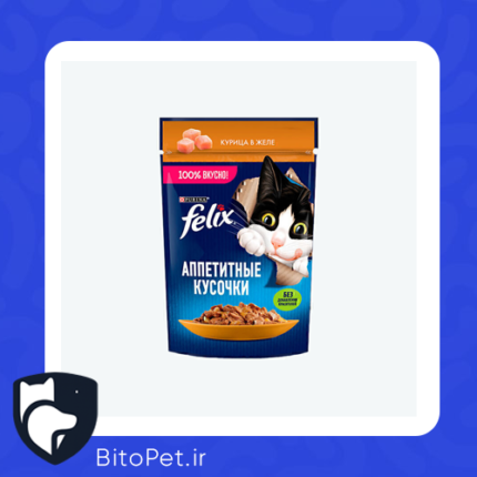 پوچ گربه فلیکس 75 gr مرغ گریوی