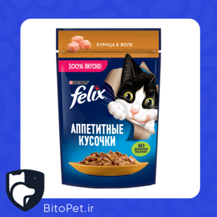 پوچ گربه فلیکس 75 gr مرغ در ژله